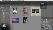 Lynda - Photoshop Elements 10: Quick Fixes Training