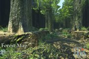 Unity Asset – Forest Map