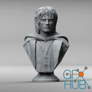 Frodo Baggins Bust – 3D Print