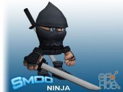 Unity Asset – Smoo Ninja