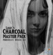 Gumroad – The Charcoal Master Pack – Procreate Brush Set