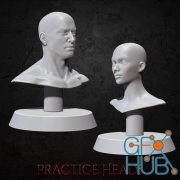 Practice Busts – 3D Print