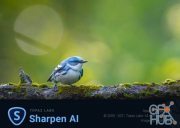 Topaz Sharpen AI 3.2.0 Win x64