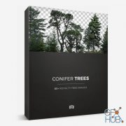 PHOTOBASH – Conifer Trees