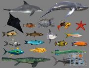 Cubebrush – Low poly Fish Collection Animated Pack 4