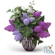 Bouquet lilac in a vase