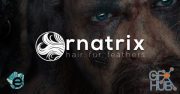 Ephere Ornatrix v3.0.6.24310 for Maya 2018 to 2020 Win64