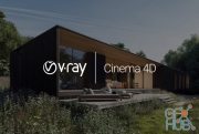 Chaos Group V-Ray v3.70.05 for Cinema 4D R17-R21 Win x64
