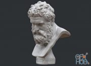 Marble Bust Farnese Hercules PBR