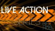 Allan McKay – Live Action Series – Term 2