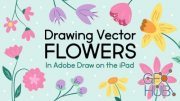 Skillshare - Drawing Vector Flowers - Illustrating Simple Florals in Adobe Draw on the iPad