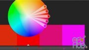 CreativeLIVE – Working with Color Tools in Illustrator