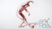 Udemy – The Art & Science of Figure Drawing: Gesture
