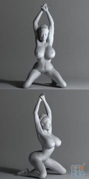 Sexy Naked Woman – 3D Print