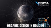 Organic Design in Houdini (RUS)