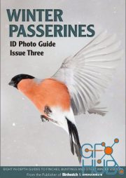 Bird ID Photo Guides – Winter Passerines, Issue 03, 2022 (PDF)