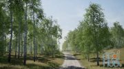 Unreal Engine Marketplace – Trees: Birch Tree