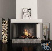 Modern fireplace and accessories
