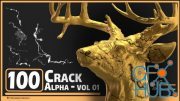 ArtStation – 100 Crack Alpha – Vol 01