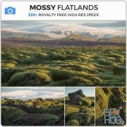 PHOTOBASH – Mossy Flatlands
