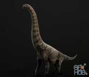 Brachiosaurus altithorax PBR