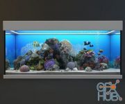 Seawater aquarium