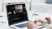 CreativeLIVE – How to Color Correct in Adobe Premiere Pro