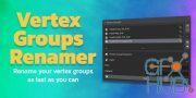 Blender Market – Vertex Groups Renamer – Vgr