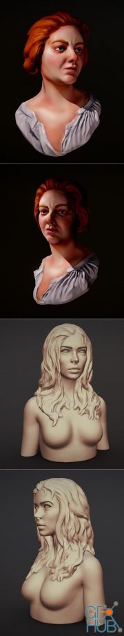 Costanza Bonarelli bust and Female Bust With Hair – 3D Print