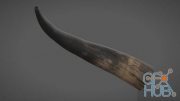 Texturing.xyz - Cow Horn #05 PBR