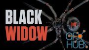 Black Widow - Model, Texture, Rig and Animate a Spider in Cinema 4D