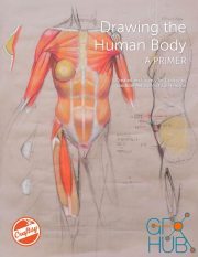 Drawing the Human Body – A Primer (PDF)