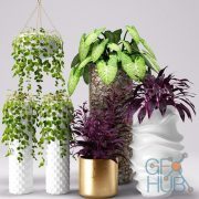 3DDD / 3DSky PRO models – Decorative Plants