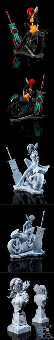 Red from Transistor Figure and Bust – 3D Print