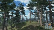 Unity Asset – Scots Pine Trees Package v1.01