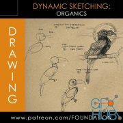 Gumroad – Foundation Patreon – Dynamic Sketching: Organics