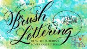 Skillshare - Intermediate Brush Lettering: How to Flourish Lower Case Letters