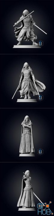 Darth Revan Figurine - Pose 1-4 – 3D Print