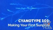 Cyanotype Photography 101: Making Your First Sunprint