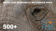 500+ Rhino and Elephants - Pack Références