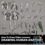 CreatureArtTeacher – The Art of Aaron Blaise – How to Draw – Drawing Human Anatomy