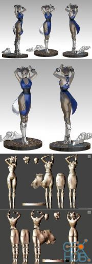 Chun Li cyborg – 3D Print