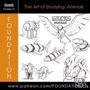 Gumroad – Foundation Patreon – The Art of Studying Animals by Charles Lin