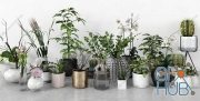 Modern Cactus Green Plant Potted Vase Flower Arrangement