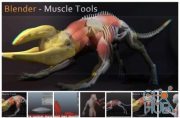 Blender Market – Blender Muscle Tools 1.4 X 1.5 For 2.8
