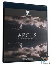 ARCUS Contemporary Collection Film Looks Presets LUT's (Win/Mac)