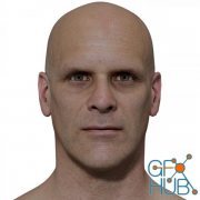 3D Scan Store – Retopologised Male Head 022