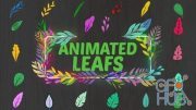Animated Leafs || After Effects 33850931