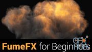 Skillshare – FumeFX For Beginners!