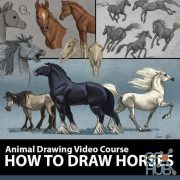 CreatureArtTeacher – How to Draw Horses